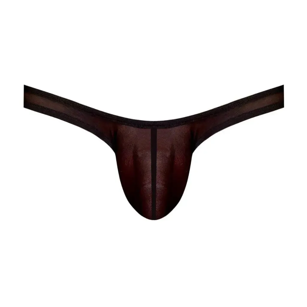 Euro Male Mesh Thong