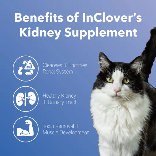 InClover BioRen Bladder & Kidney Health Powder Supplement for Dogs & Cats