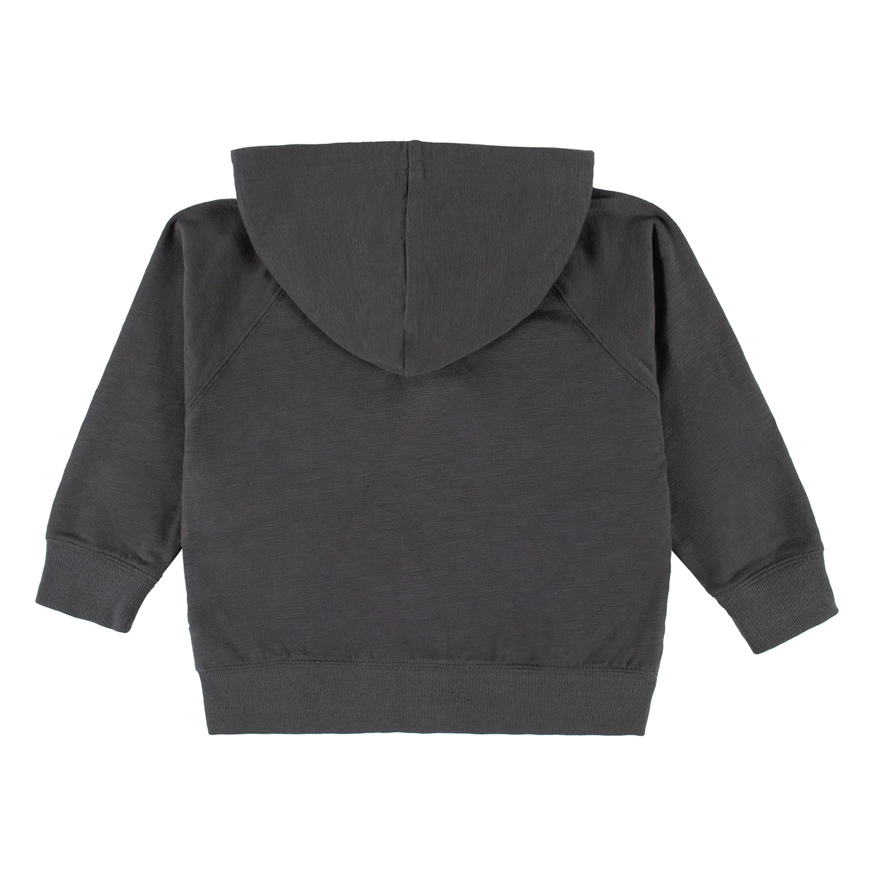 Infant & Toddler Boys Charcoal Hoodie