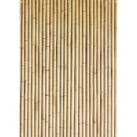 X-Drop Canvas Backdrop - Tan Bamboo (5' x 7')